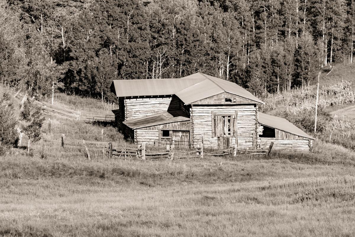 лес, деревья, ветви, природа, домик, домик в лесу