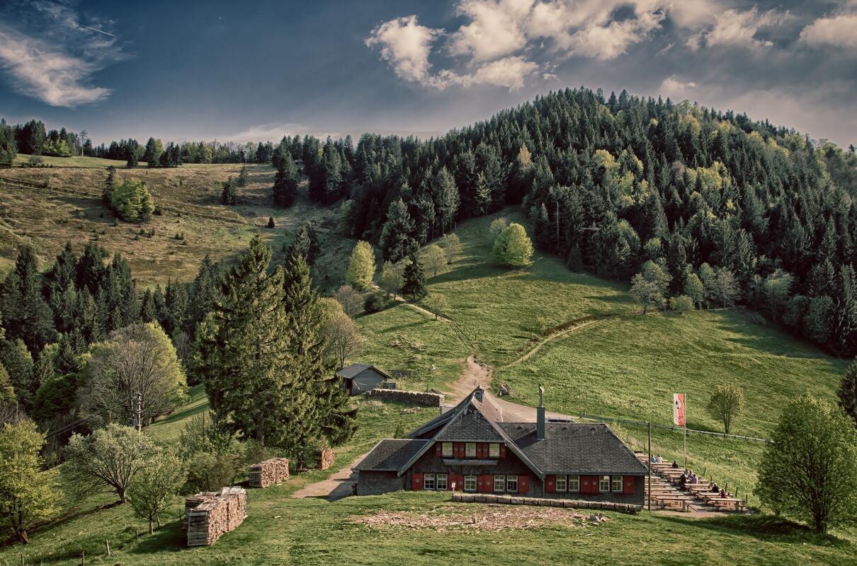 лес, деревья, ветви, природа, домик, домик в лесу