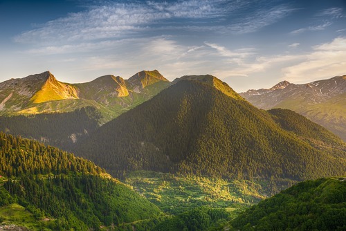 горы, Альпы, лес, ели, зеленые, луга
