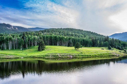 деревья, лес, природа, пейзаж, река, зеленые